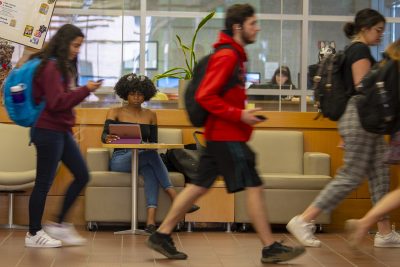 Student studying in the Homer Babbidge Library' while other students walk by her on May 7, 2019. (Sean Flynn/UConn Photo)